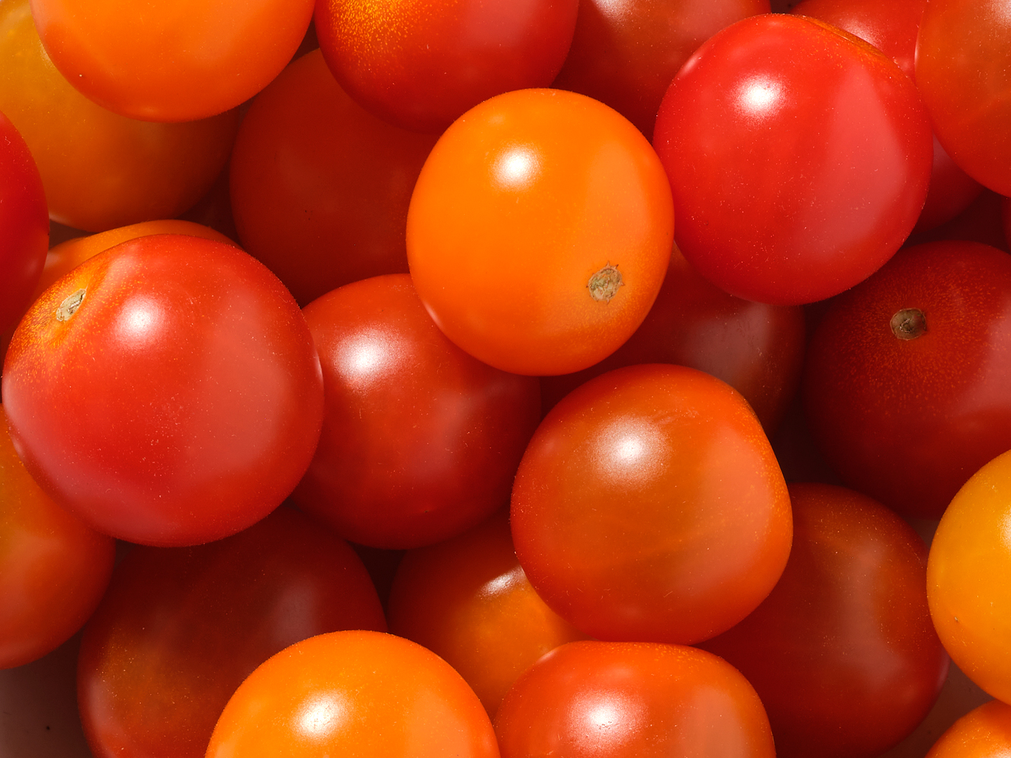 Windset Farms®Yum Yums® Cherry Tomatoes - Windset Farms®